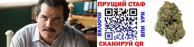 Все наркотики Карачев ГАШИШ  Бошки Шишки  А ПВП  Псилоцибиновые грибы  Меф мяу мяу 