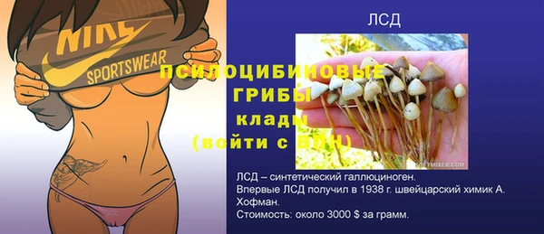 дживик Володарск