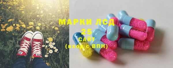 дживик Володарск