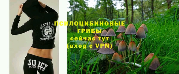 ГАЛЛЮЦИНОГЕННЫЕ ГРИБЫ Волоколамск