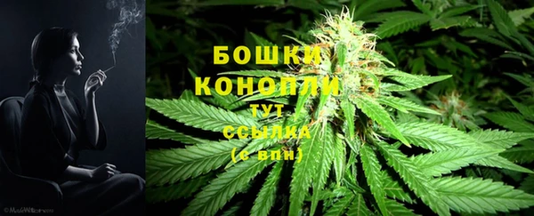спиды Волосово