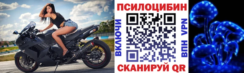 shop наркотические препараты  Карачев  Галлюциногенные грибы мухоморы  kraken ссылки 